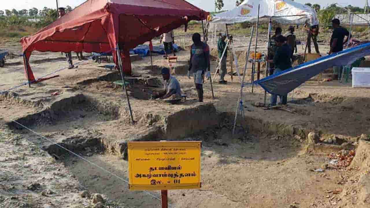 இதுரை 56 மனித எலும்புக்கூடுகள் அடையாளம்