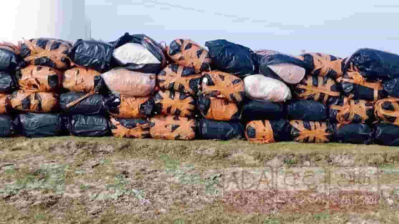 1,630 கிலோ கிராம் பீடி இலைகள் மீட்பு