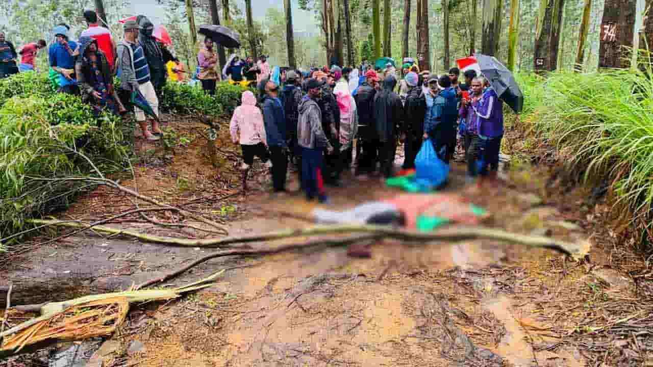 மரக்கிளை முறிந்து விழுந்ததில் சம்பவ இடத்தில் ஒருவர் பலி