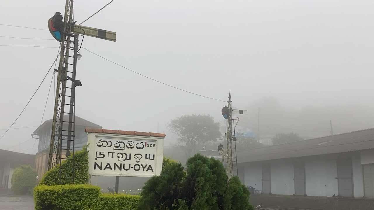 நுவரெலியா மற்றும் நானுஓயாவில் கடும் பனி மூட்டம்