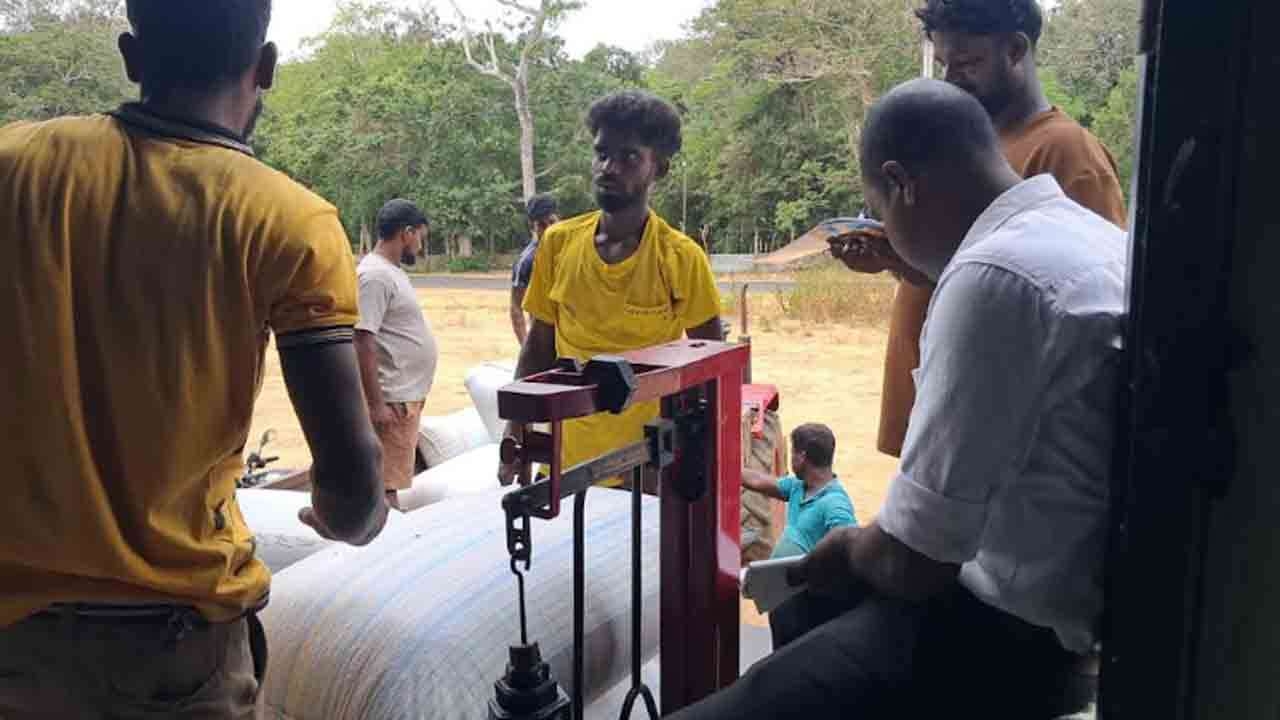 நெல் கொள்வனவு நடவடிக்கை