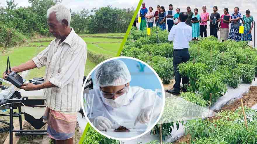 விவசாயிகளை விவசாய தொழில்முயற்சியாளராக மாற்றும் DIMO Agribusinesses