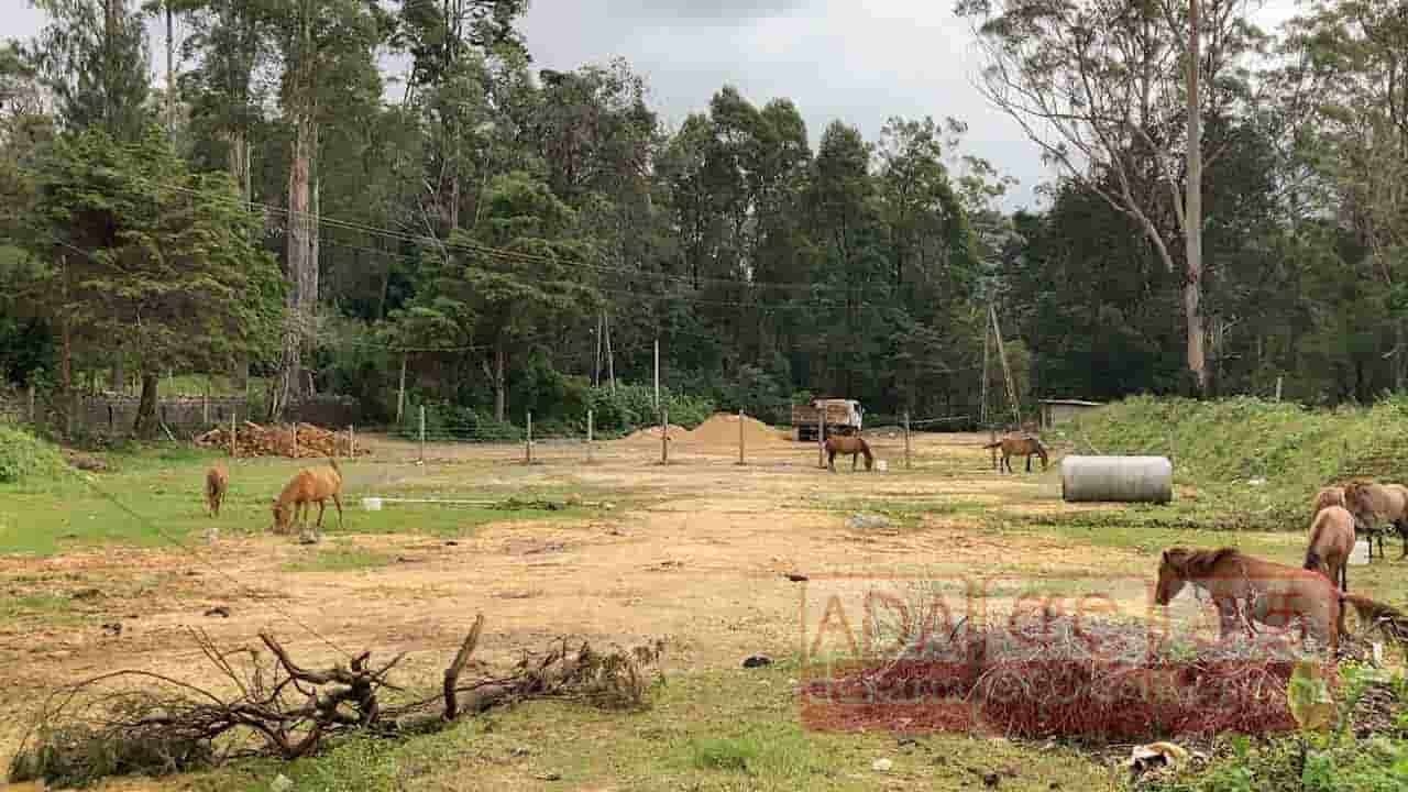 உரிமையாளர்களுக்கு விடுக்கப்பட்டுள்ள எச்சரிக்கை