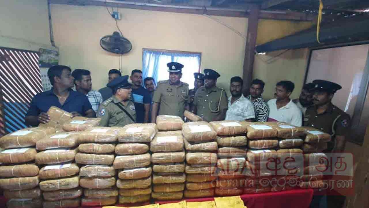 பெருந்தொகையான கேரளகஞ்சாவுடன் இருவர் கைது