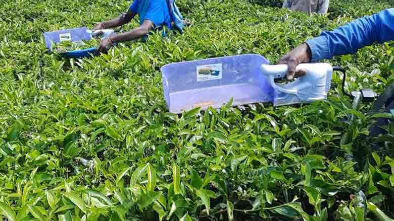 இயந்திரமயமாக்கல் மூலம் உற்பத்தி செலவுகளைக் குறைத்து, உற்பத்தி திறனை அதிகரிக்கும் ஆகாரபத்தன விவசாய நிறுவனம்