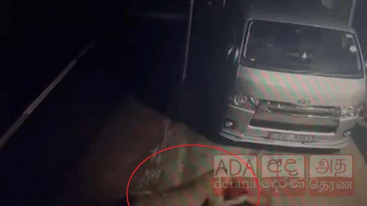 தூங்கி கொண்டிருந்த நாயை வேட்டையாடிய சிறுத்தை!