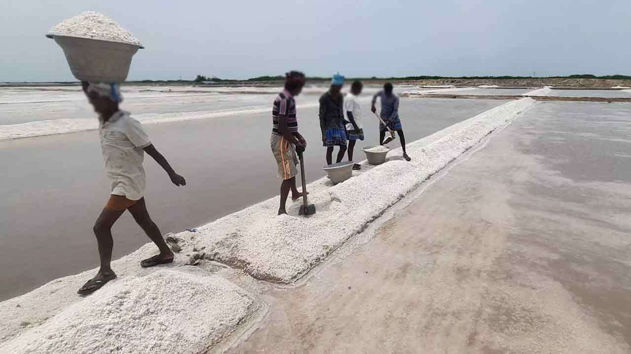 குறிஞ்சாத்தீவு உப்பளத்தை மீண்டும் ஆரம்பிக்க அனுமதி