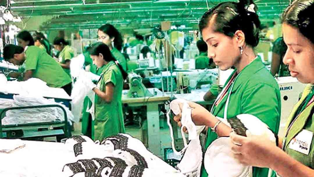 2025 ஜூலை மாதத்திற்கான ஆடை ஏற்றுமதி தரவு