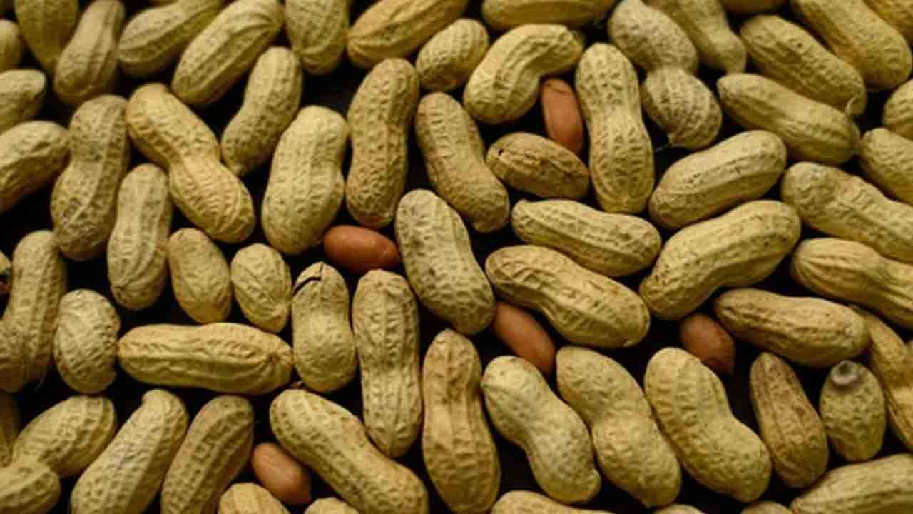இந்திய நிலக்கடலைக்கு தடை