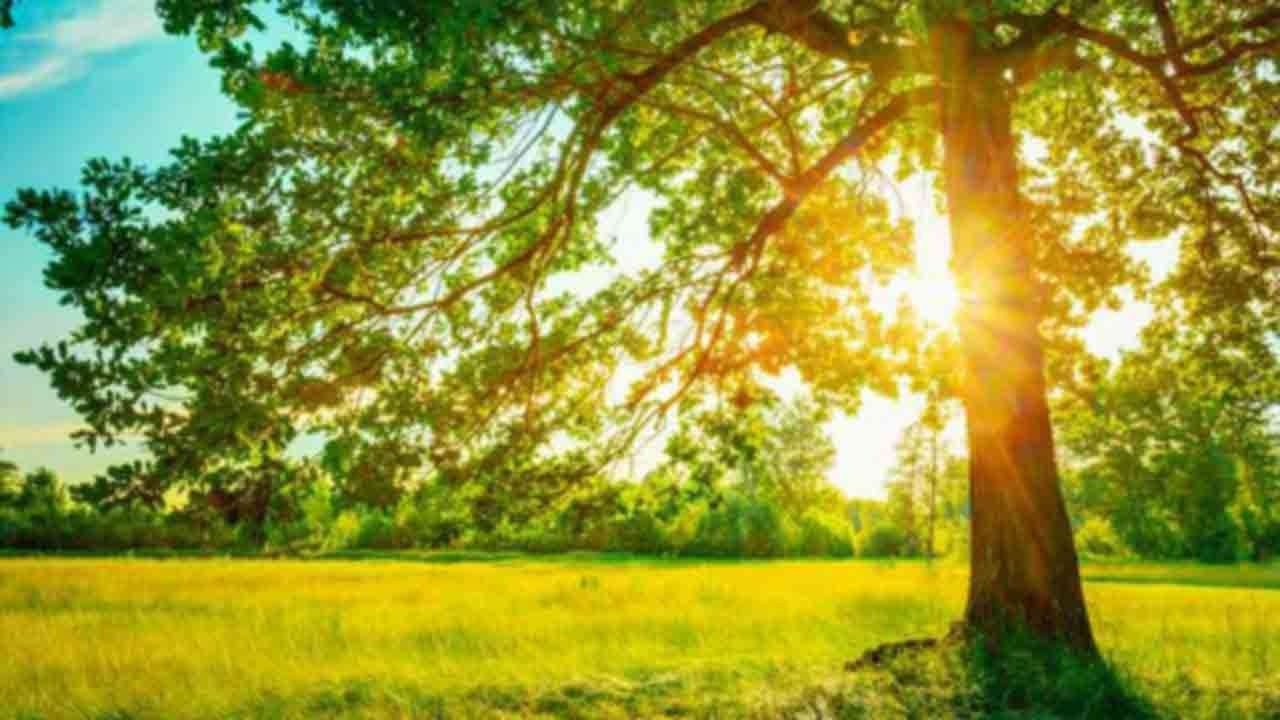  இன்று சூரியன் உச்சம் கொடுக்கும் பிரதேசங்கள் இதோ!