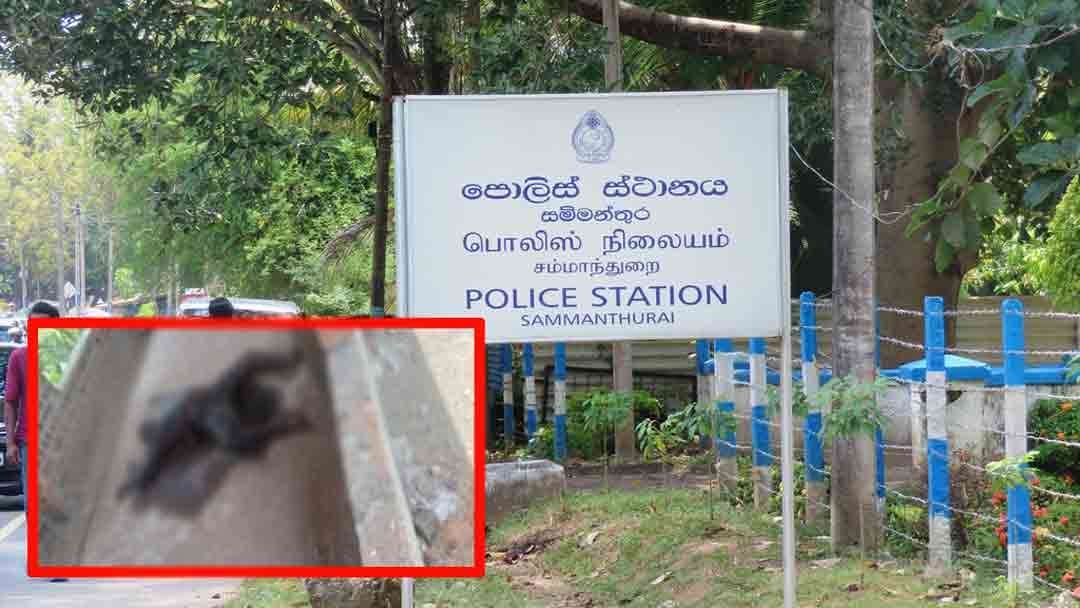 உருக்குலைந்த நிலையில் சடலம் மீட்பு
