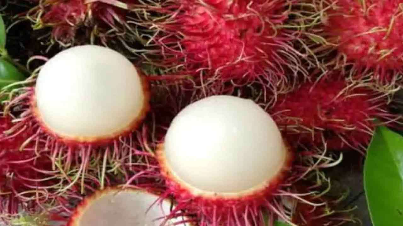 மாரடைப்பு ஆபத்தை தடுக்கும் ரம்புட்டான்?