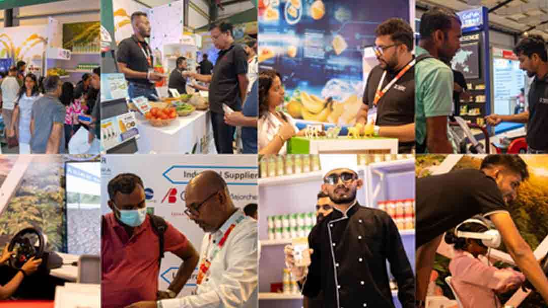 Propack & Agbiz 2025 கண்காட்சியில் ஆழ்ந்த புத்தாக்கங்களை வெளிப்படுத்திய Hayleys Agriculture Profood