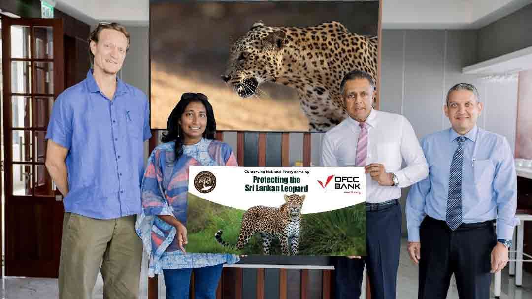 பல்லுயிரினத்தை மேம்படுத்தி, சிறுத்தைகளைக் காப்பதனூடாக நிலப்பரப்பைப் பாதுகாக்கும் முயற்சிக்காக DFCC வங்கி மற்றும் WWCT ஆகியன கைகோர்த்துள்ளன