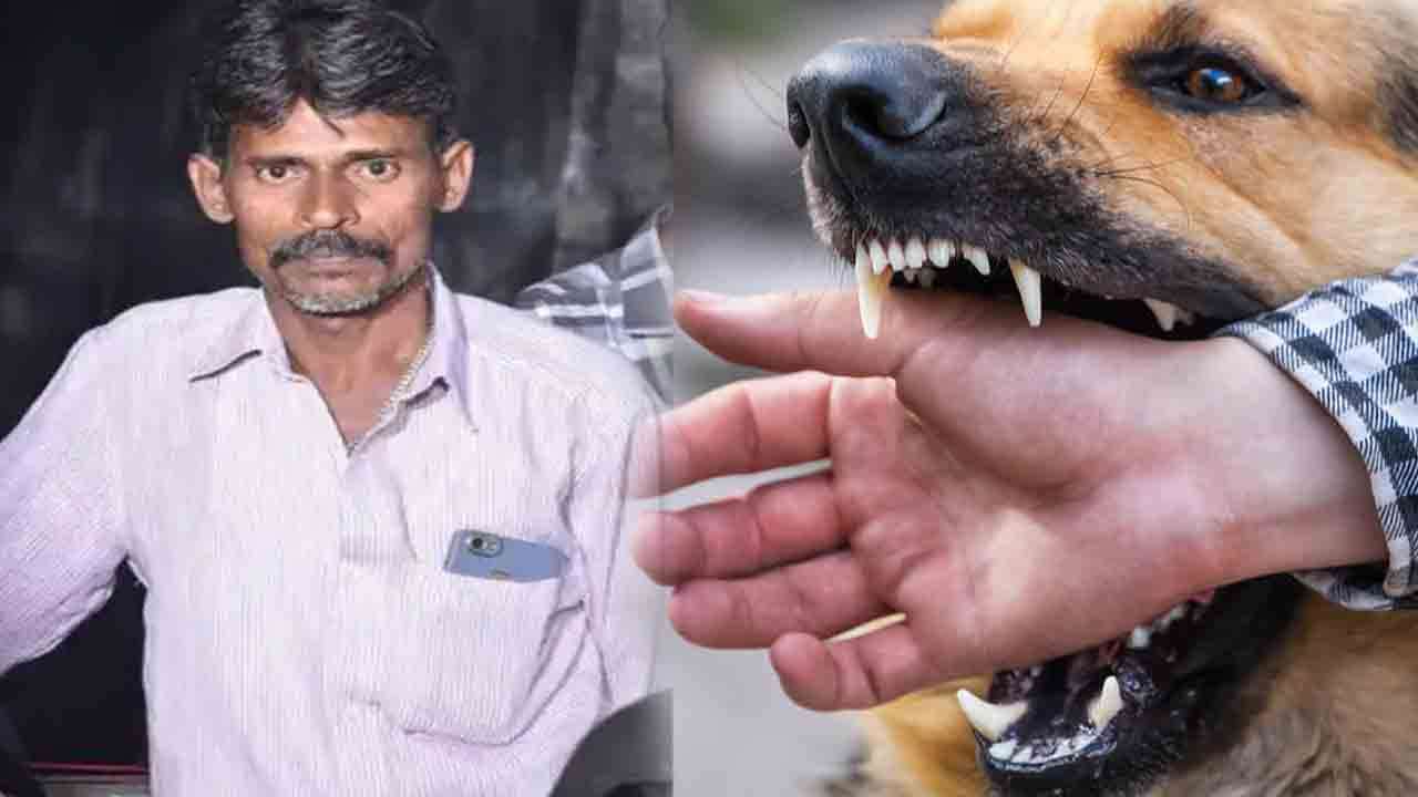 'ரேபிஸ்' தாக்கி ஒருவர் பலி!
