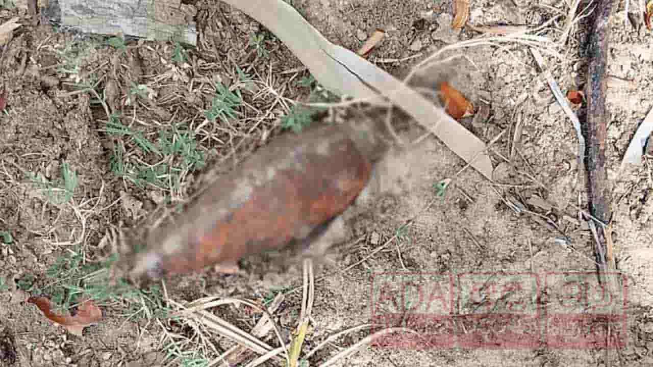 வெடிக்காத நிலையில் கண்டுபிடிக்கப்பட்ட வெடிகுண்டு!