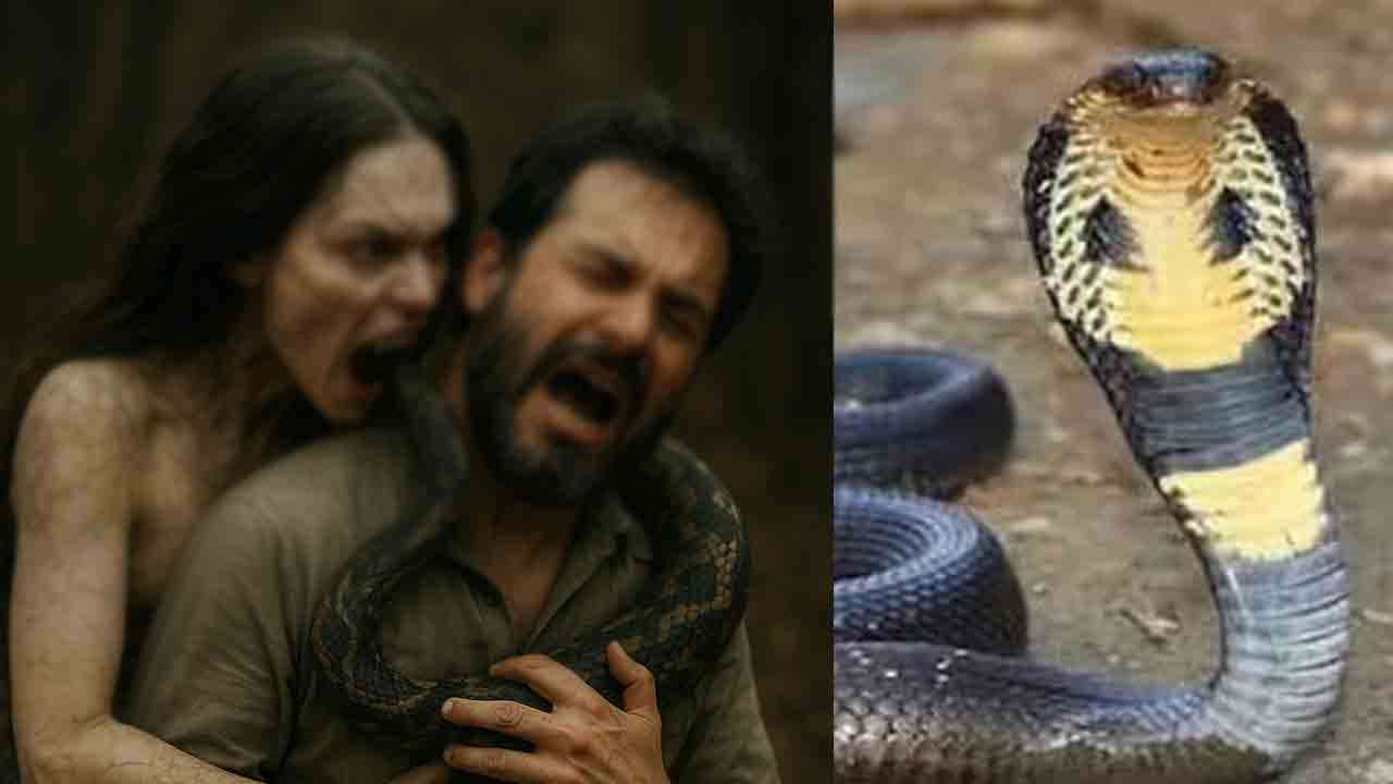 இரவில் பாம்பாக மாறும் மனைவி - புலம்பும் கணவன்