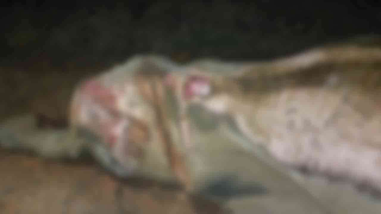 இரவு நேர ரயிலில் மோதி காட்டு யானை பலி