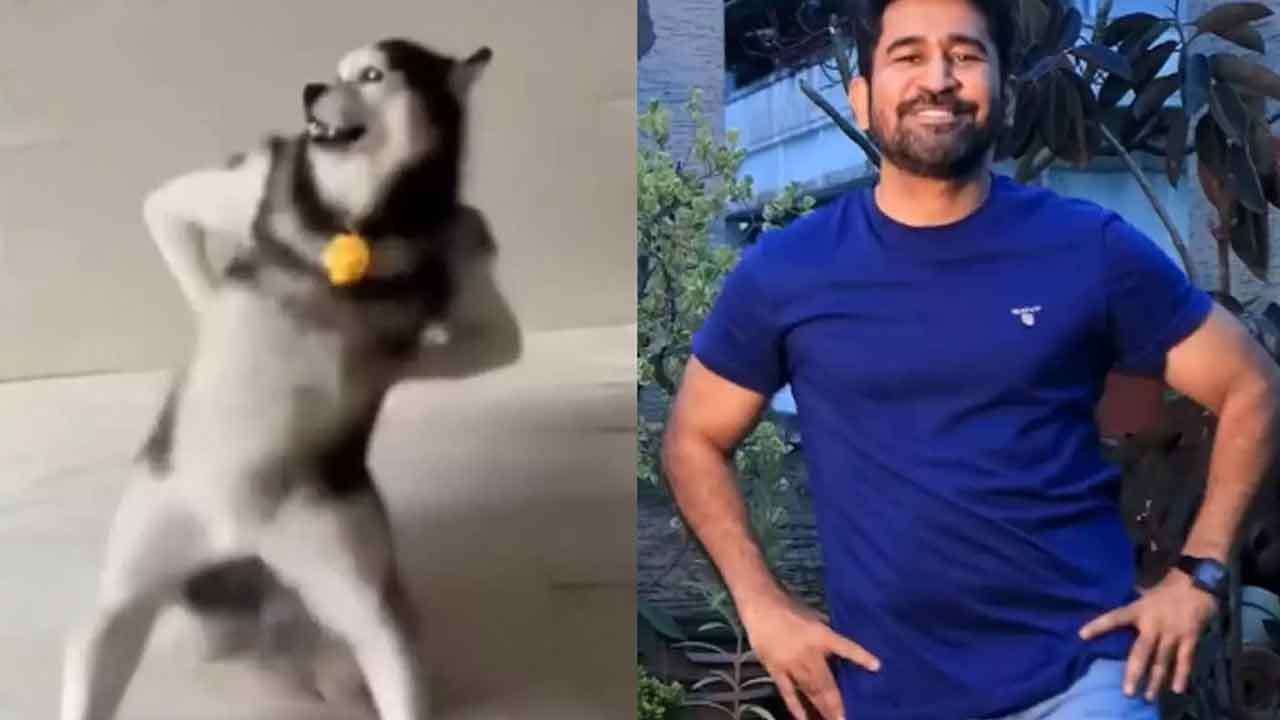  Husky டேன்ஸ் டிரெண்டில் இணைந்த விஜய் ஆண்டனி
