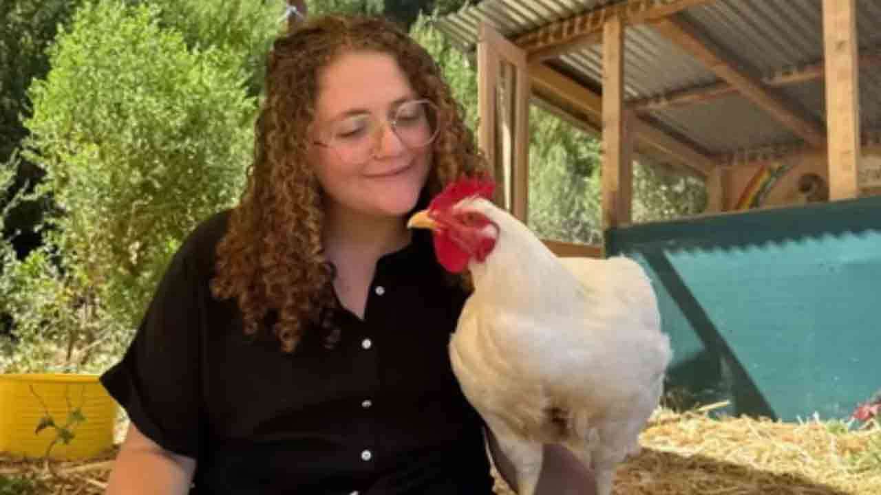  கோழிகளால் சிறை தண்டனை பெறும் நிலைக்கு ஆளான இளம்பெண்!