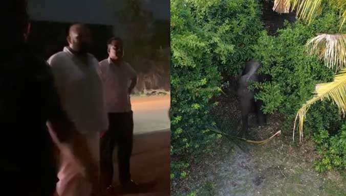 கிரான்குளத்தில் காட்டு யானைகளை துரத்தும் பணி - களத்தில் சாணக்கியன்