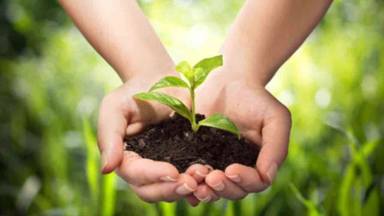 விவசாய அபிவிருத்திக்கு 1,700 மில்லியன் 