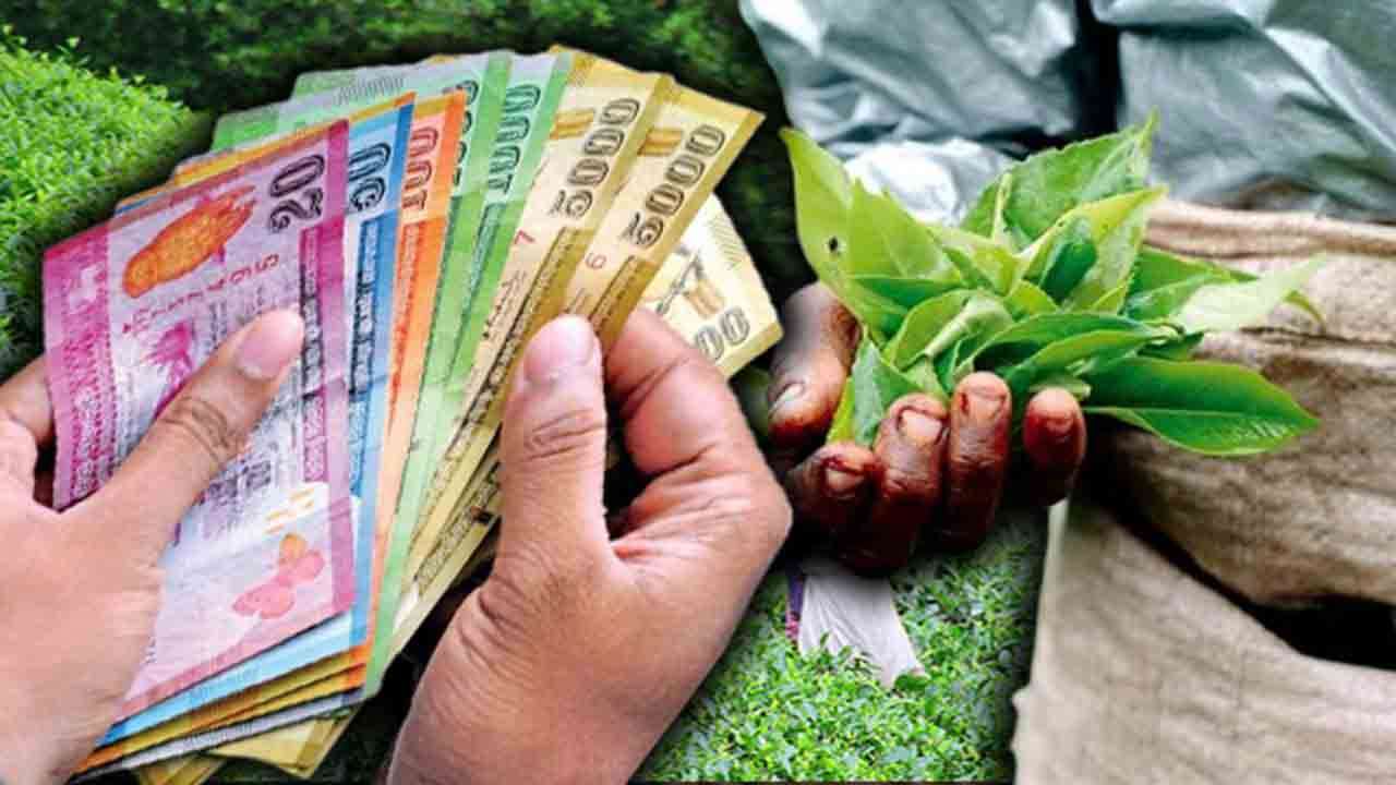 பெருந்தோட்ட தொழிலாளர்களுக்கான சம்பளம் அதிகரிப்பு