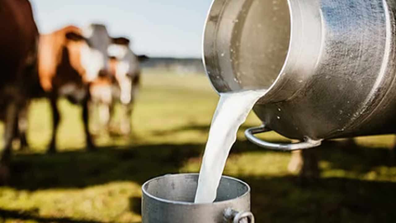 உள்நாட்டு பால் தேவையில் 75 சதவீதம் 2030 இல் பூர்த்தி செய்யப்படும்