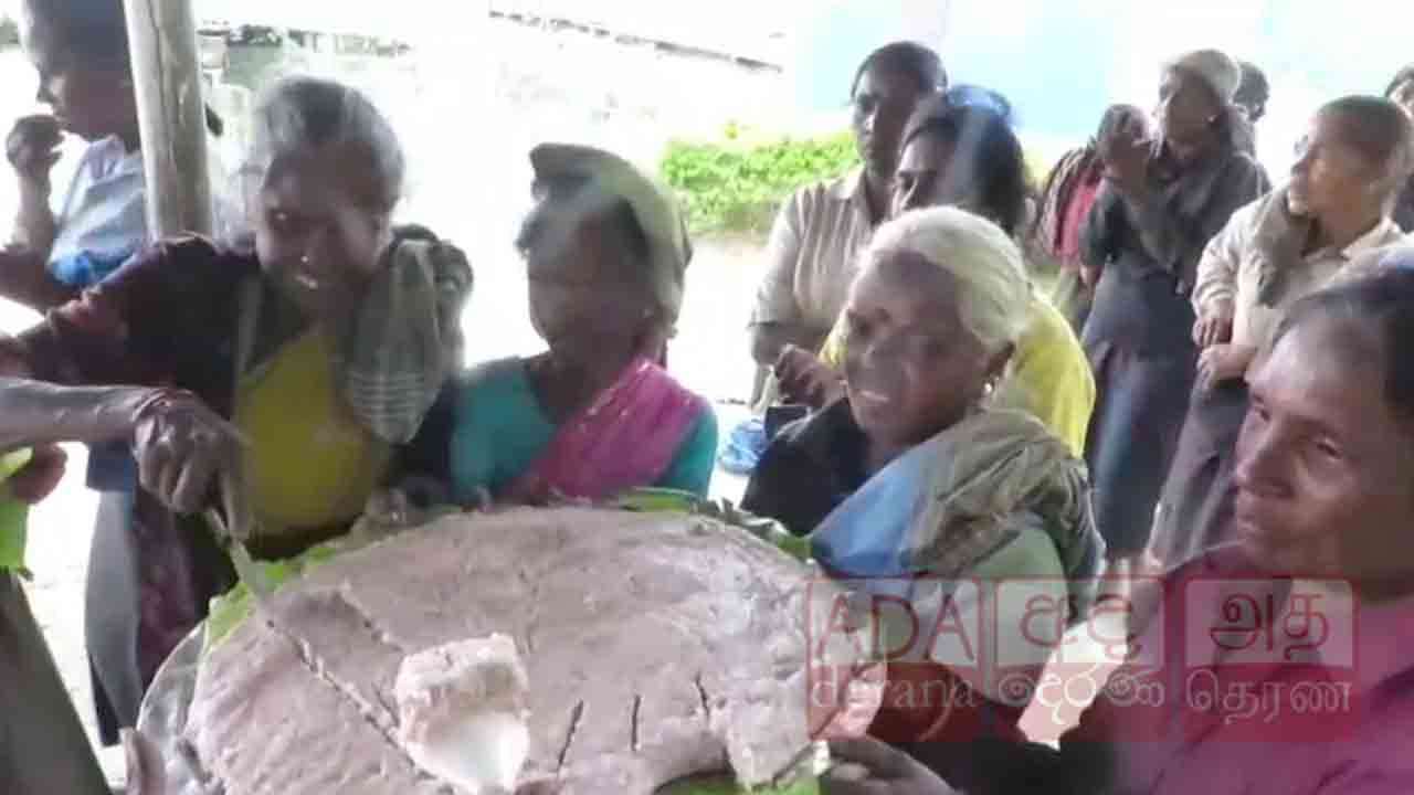 ஜனாதிபதிக்கு நன்றி தெரிவித்து தொழிலாளர்கள் கொண்டாட்டம்