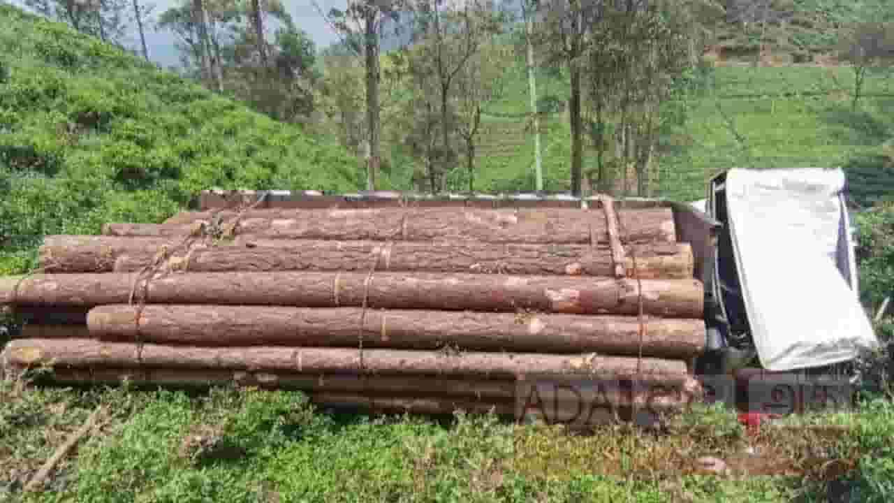 மரகுற்றிகளை ஏற்றிவந்த லொறி 25 அடி பள்ளத்தில் கவிழ்ந்து விபத்து