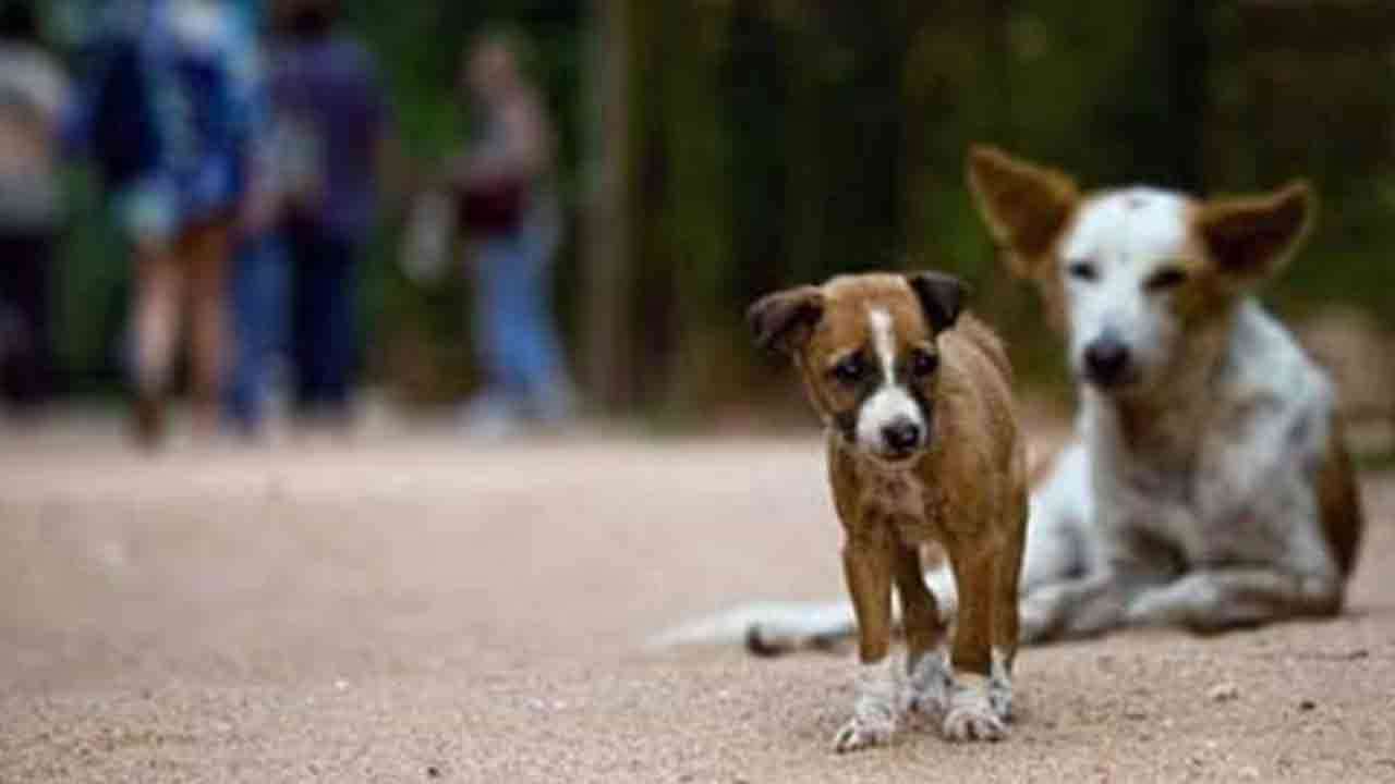 image?url=https%3A%2F%2Fada-derana-tamil