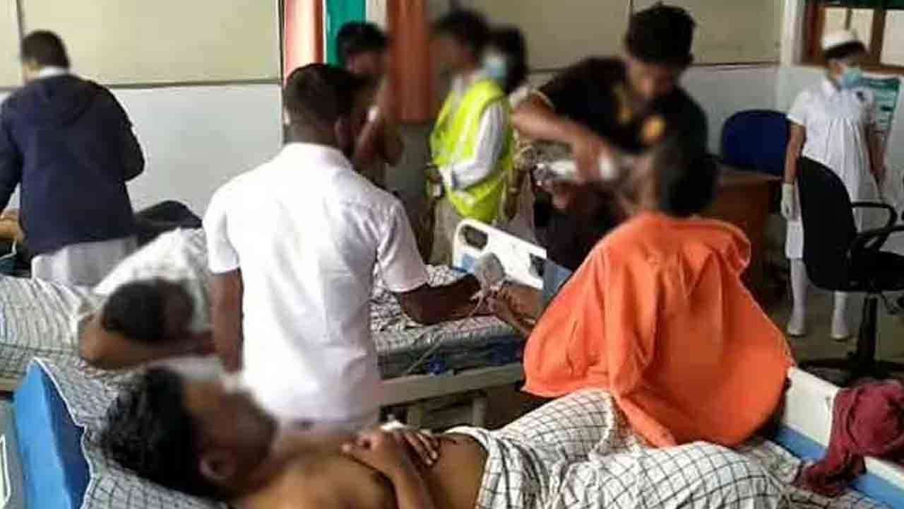 ருஹுணு பல்கலைக்கழக மாணவர்களைத் தாக்கிய குளவிக்கூட்டம்