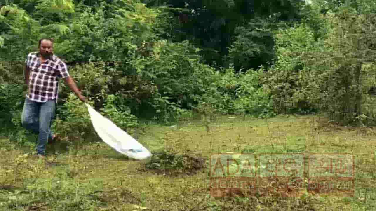 ஒட்டுசுட்டான் பிரதேசத்தில் வீட்டிற்குள் புகுந்த வெங்கிணாந்தி பாம்பு!