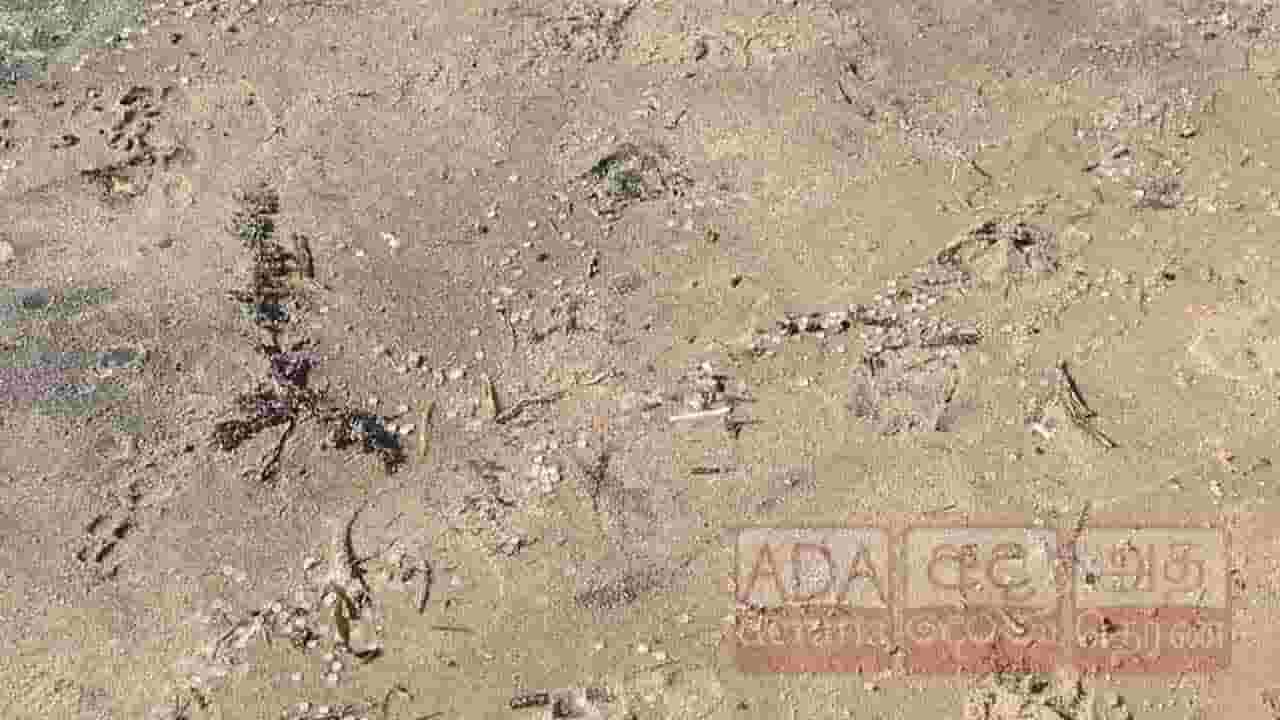 மன்னாரில் மீண்டும் கரையொதுங்கும் பிளாஸ்டிக் துவல்கள்!