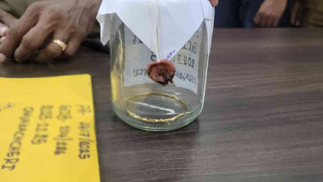 காதலனின் வீட்டில் தாலிக்கொடி உட்பட 8 பவுண் நகைகளை திருடிய காதலி