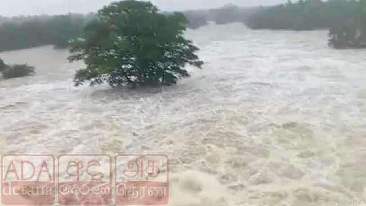 கொந்தளிக்கும் தெதுரு ஓயா - பொதுமக்களுக்கு சிவப்பு எச்சரிக்கை!