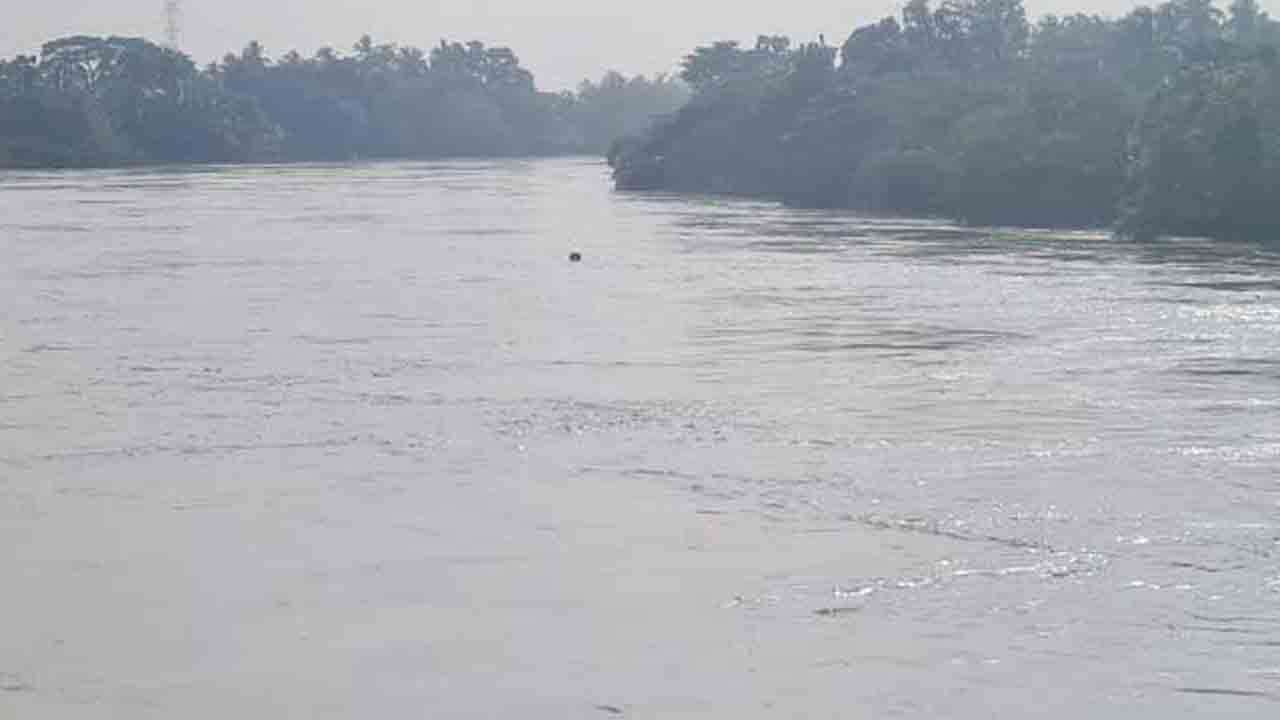 களனி கங்கையின் நீர் மட்டம்  குறித்து நீர்ப்பாசனத் திணைக்களம் அறிக்கை