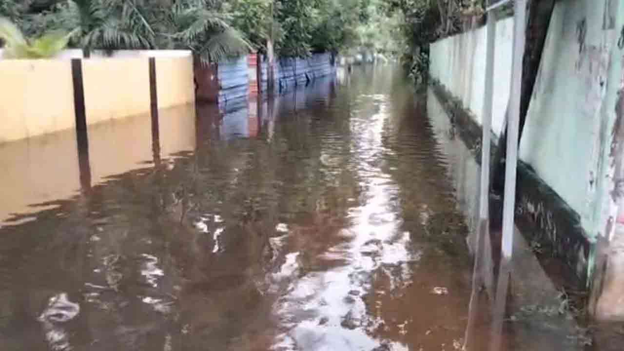 யாழில் 49,191 நபர்கள் பாதிப்பு