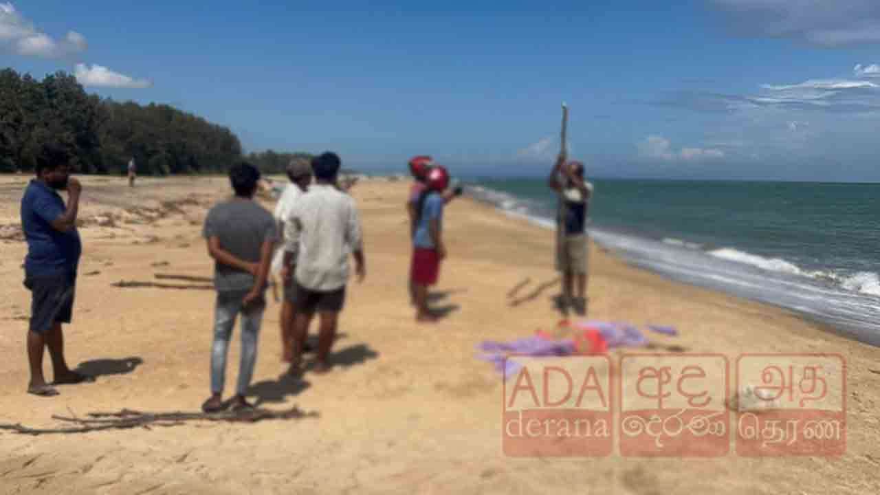 பெரியகல்லாறு கடற்கரை பகுதியில் கரையொதுங்கிய சடலம்