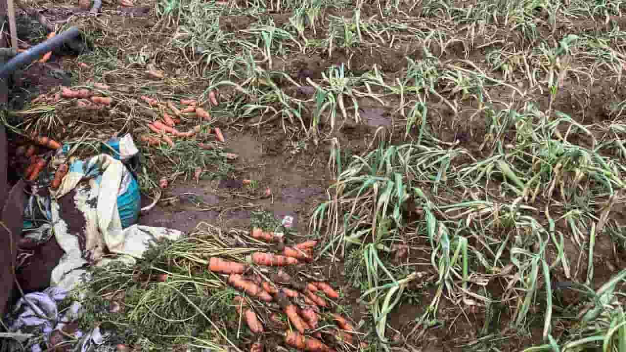 கந்தப்பளையில் வெள்ளத்தால் மரக்கறிகள் அழிவு: விவசாயிகள் கவலை