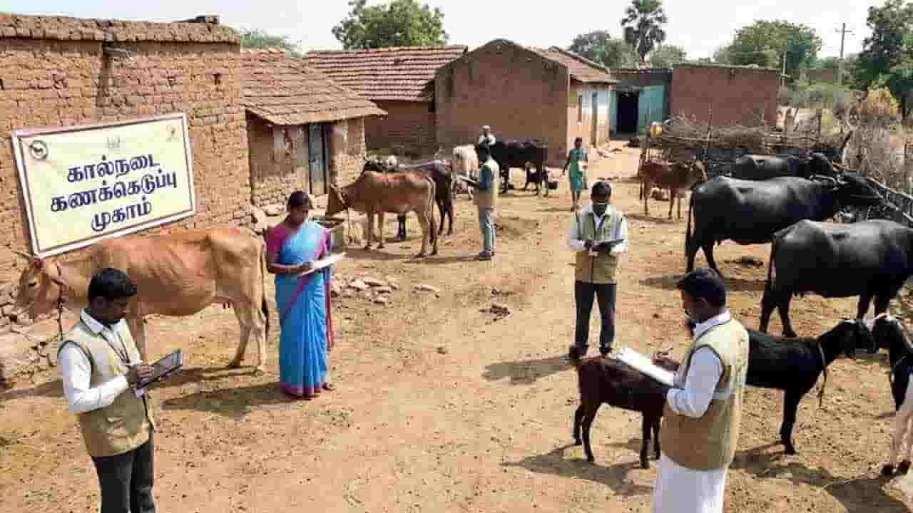 வட மாகாண கால்நடைகள் பதிவு தொடர்பான அறிவிப்பு