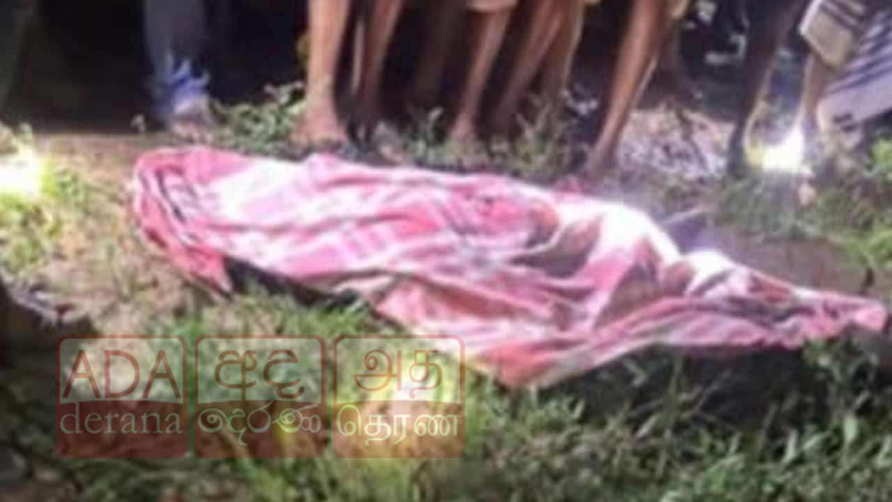 தம்புத்தேகமவில் காட்டு யானை தாக்கி ஒருவர் பலி