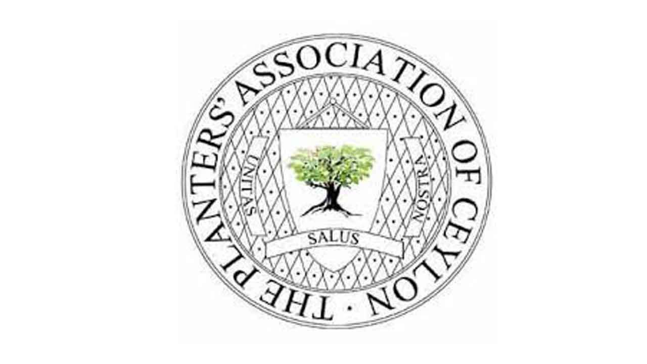 பெருந்தோட்டத் துறையில் தித்வா சூறாவளியின் தாக்கம் குறித்த இலங்கை பெருந்தோட்ட முதலாளிமார் சம்மேளனத்தின் அறிக்கை