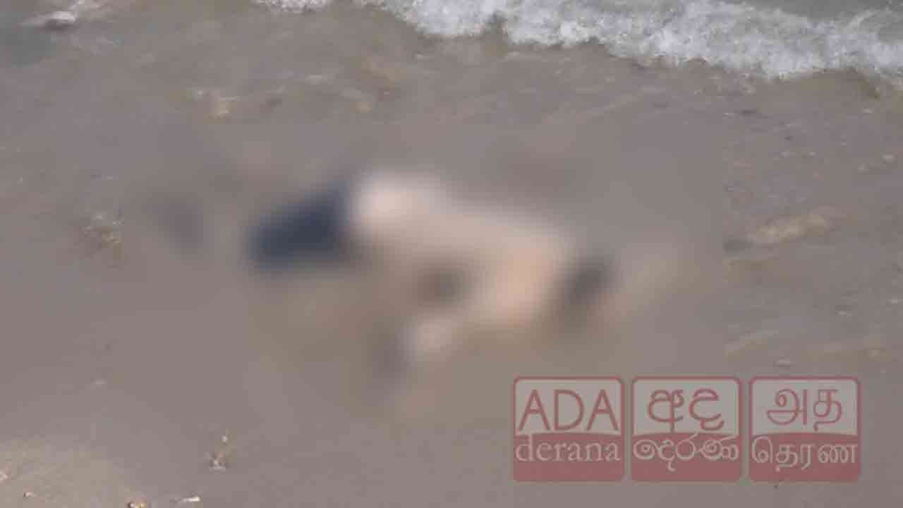 யாழ். பருத்தித்துறையில் கரை ஒதுங்கிய சடலம்!