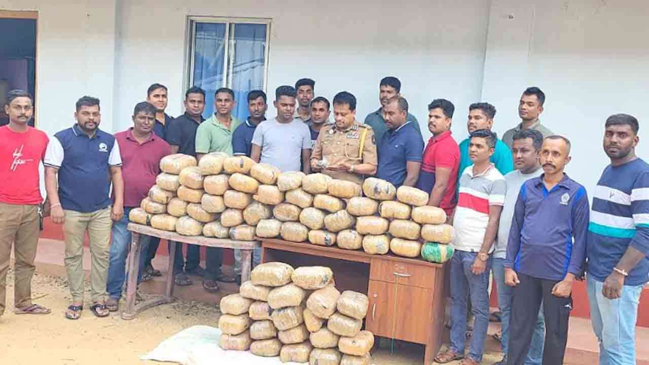 கிளிநொச்சியில் 131 கிலோ கேரளக் கஞ்சா மீட்பு!