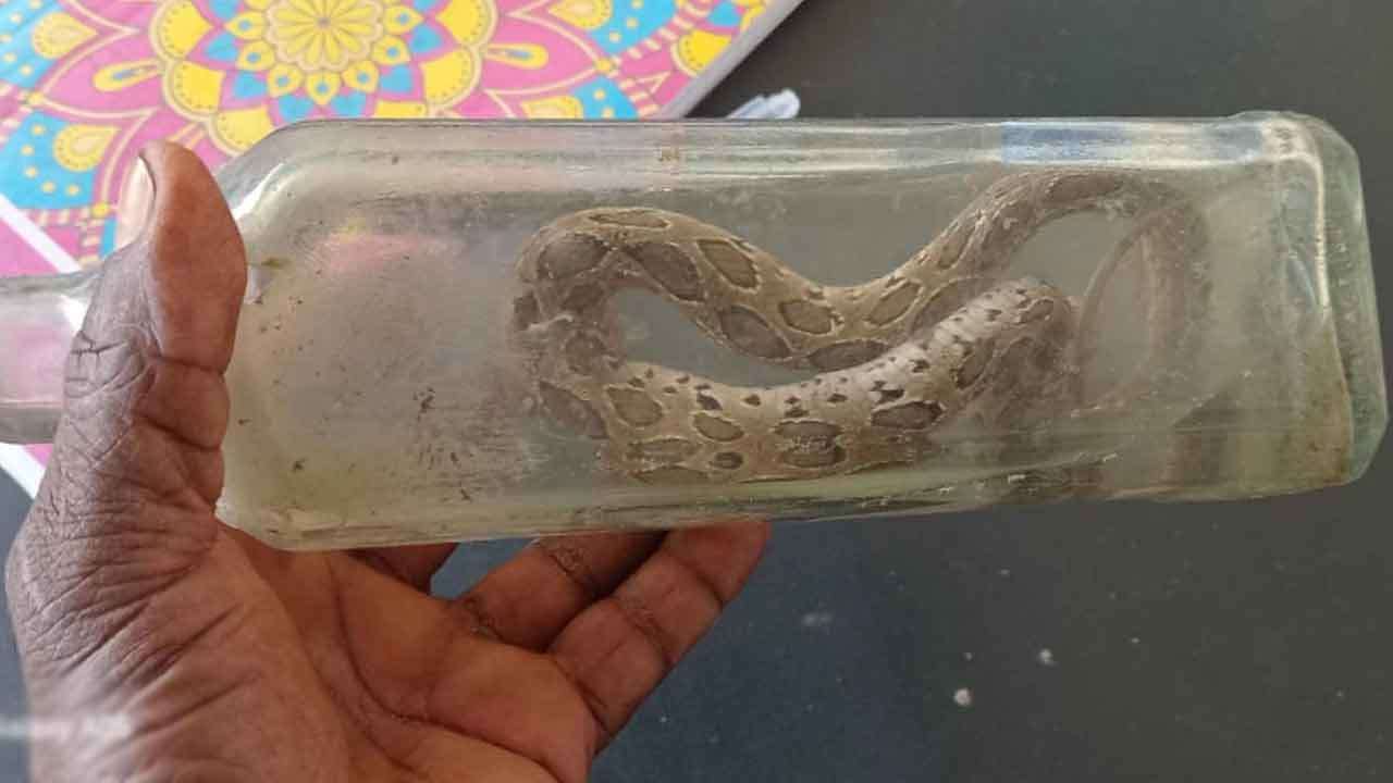 பாம்புக்கடிக்கு இலக்கான இளைஞன் உயிரிழப்பு