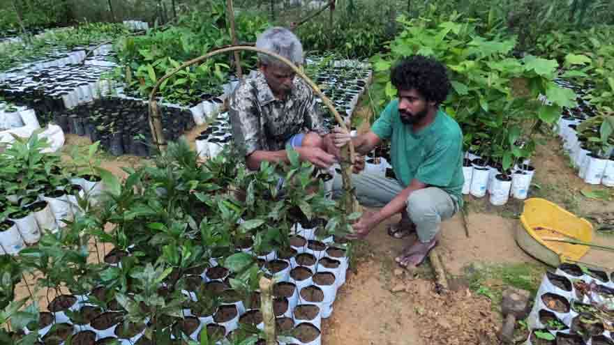 இலங்கையின் தேயிலைத் தோட்டப் பகுதியிலுள்ள தாவரங்கள் மற்றும் விலங்கினங்களைப் பாதுகாத்தல்