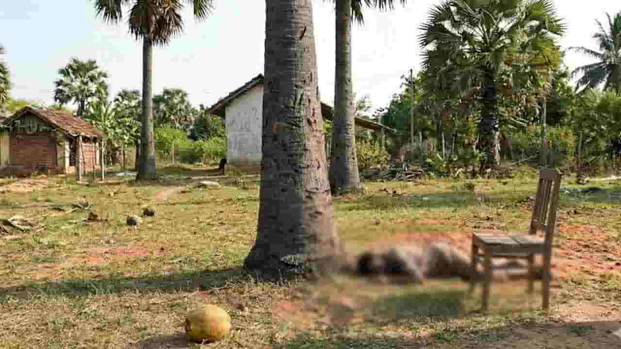 யாழில் தலையில் தேங்காய் விழுந்தலால் குடும்பஸ்தர் உயிரிழப்பு!