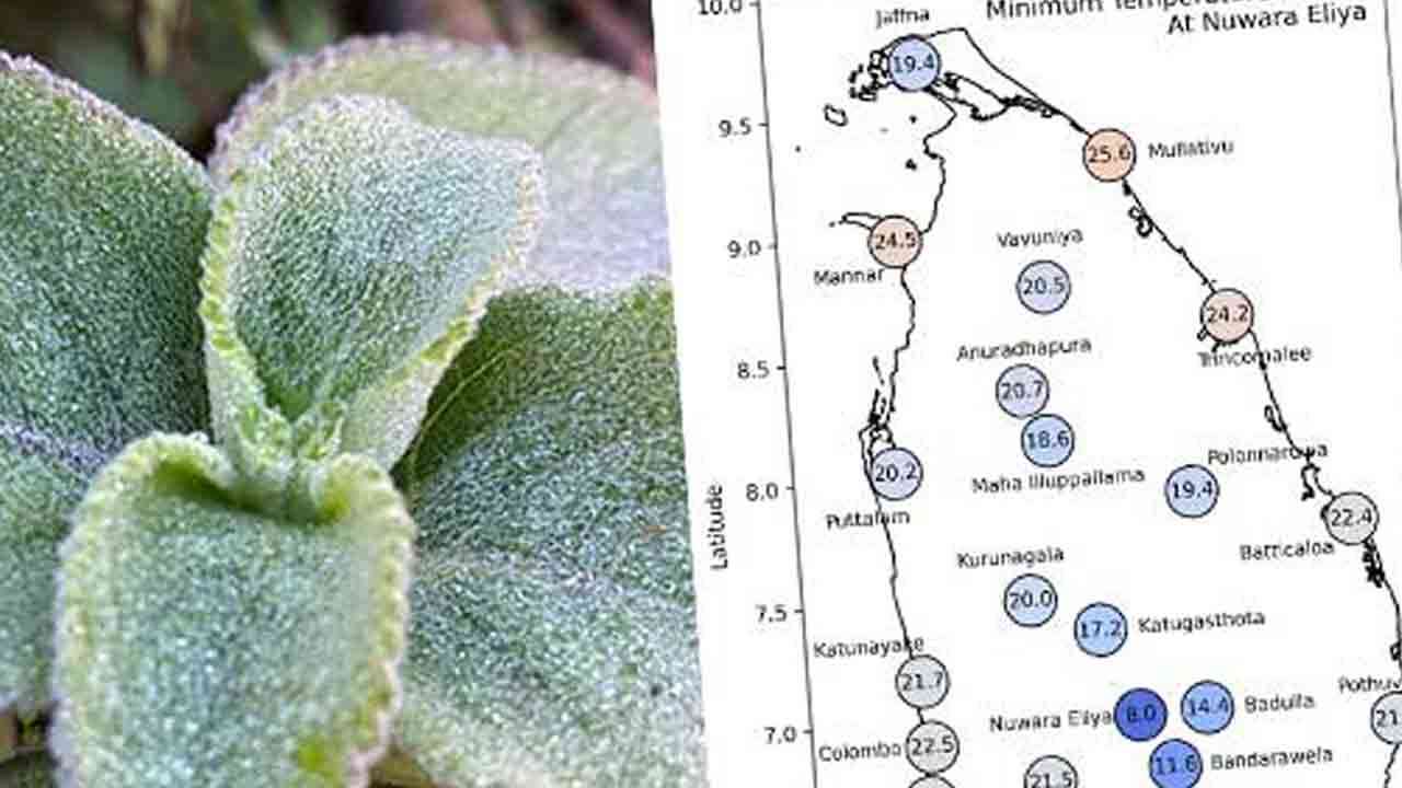இன்று குறைந்தபட்ச வெப்பநிலை நுவரெலியாவில்