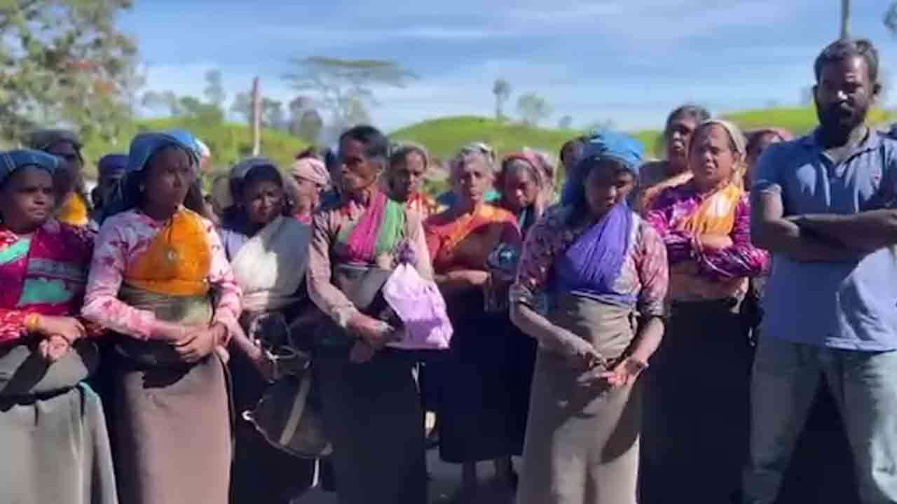 மால்புரோ தோட்டத்தில் வௌ்ளக்காரர் சிஸ்டம் கொந்தளிக்கும் தொழிலாளர்கள்!